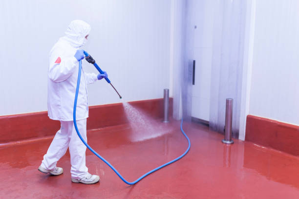 Best Boat and Dock Cleaning  in White Meadow Lake, NJ
